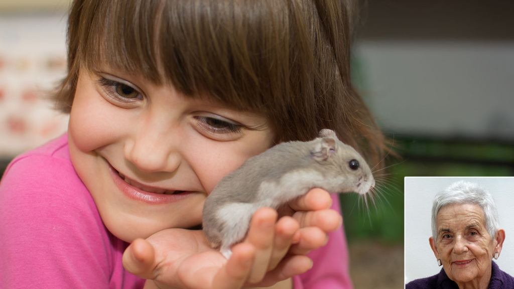 Grandmother’s Passing Helps Emotionally Prepare Child For When Pet Hamster Dies