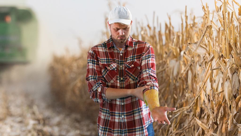 Horrified Iowan Farmer Starts Breaking Out In Corn After Coming Into Direct Contact With Monsanto Crops