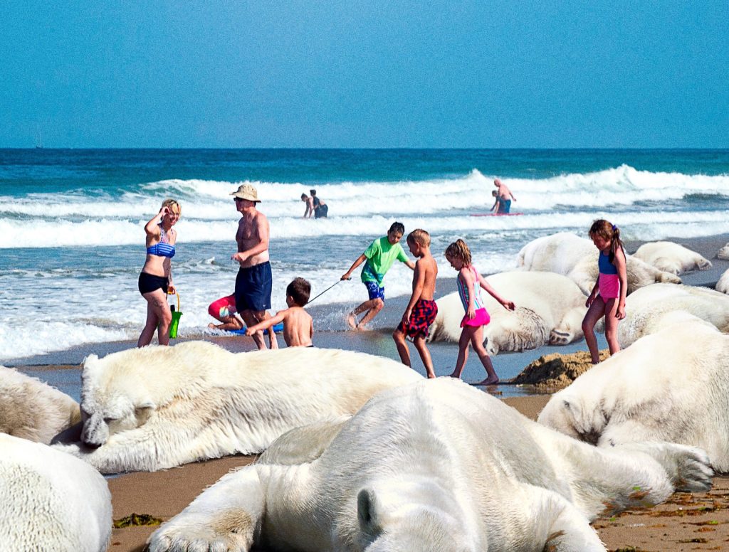 Thousands Of Polar Bears Washing Up On Nation’s Beaches