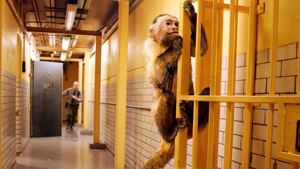 Epstein Guards Placed On Disciplinary Leave For Allowing Selves To Be Distracted By Mischievous Monkey That Stole Key Ring