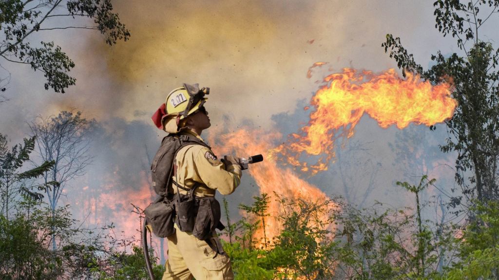 Brazilian Government Equips Firefighters With Flamethrowers To Combat Massive Amazon Rainforest