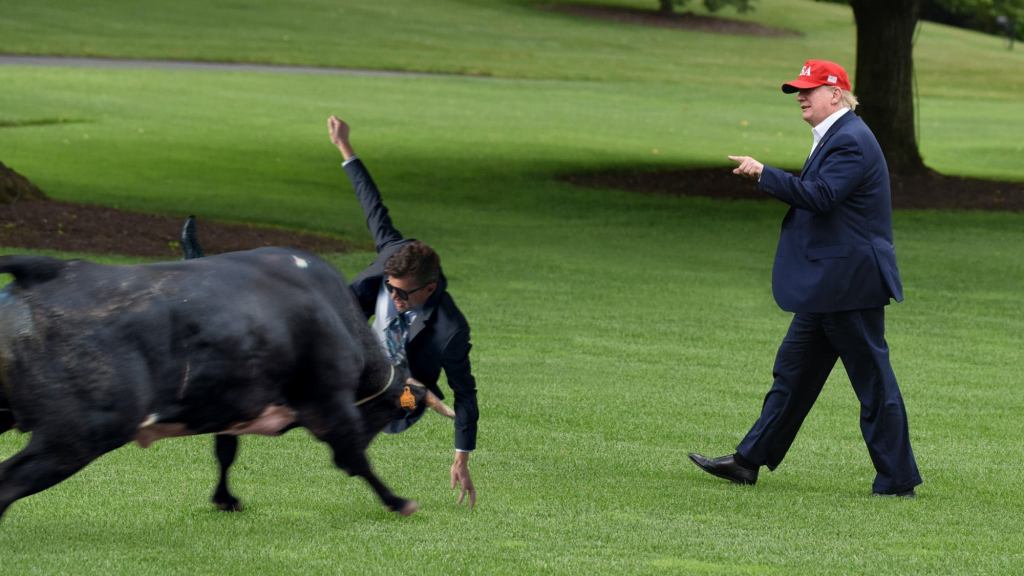 Heroic Secret Service Agent Takes Bull Intended For President