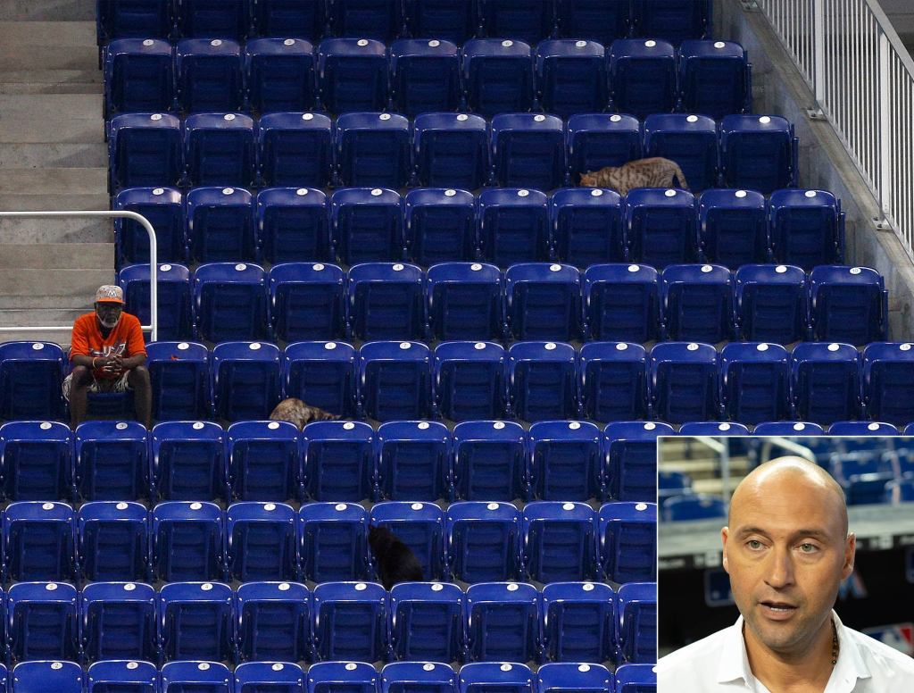 Derek Jeter Just Going To Go Ahead And Count Stray Cats In Marlins Attendance Figure