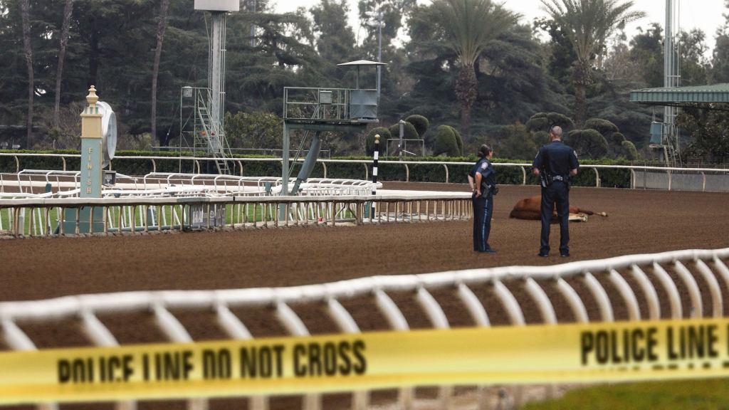 Authorities Theorize Santa Anita Race Track Deaths Could Be Work Of Horse Serial Killer