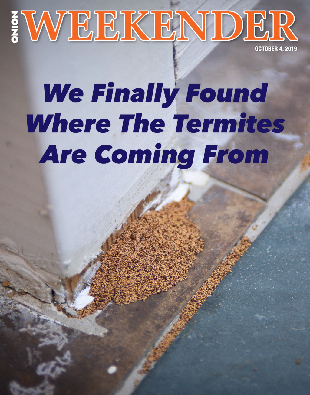 We Finally Found Where The Termites Are Coming From