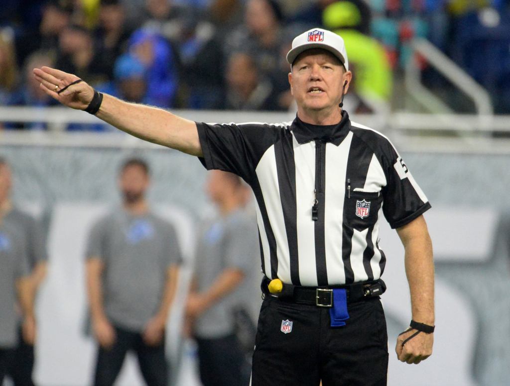 Researchers Discover Referees Evolved Stripes To Warn Predators Against Pass Interference