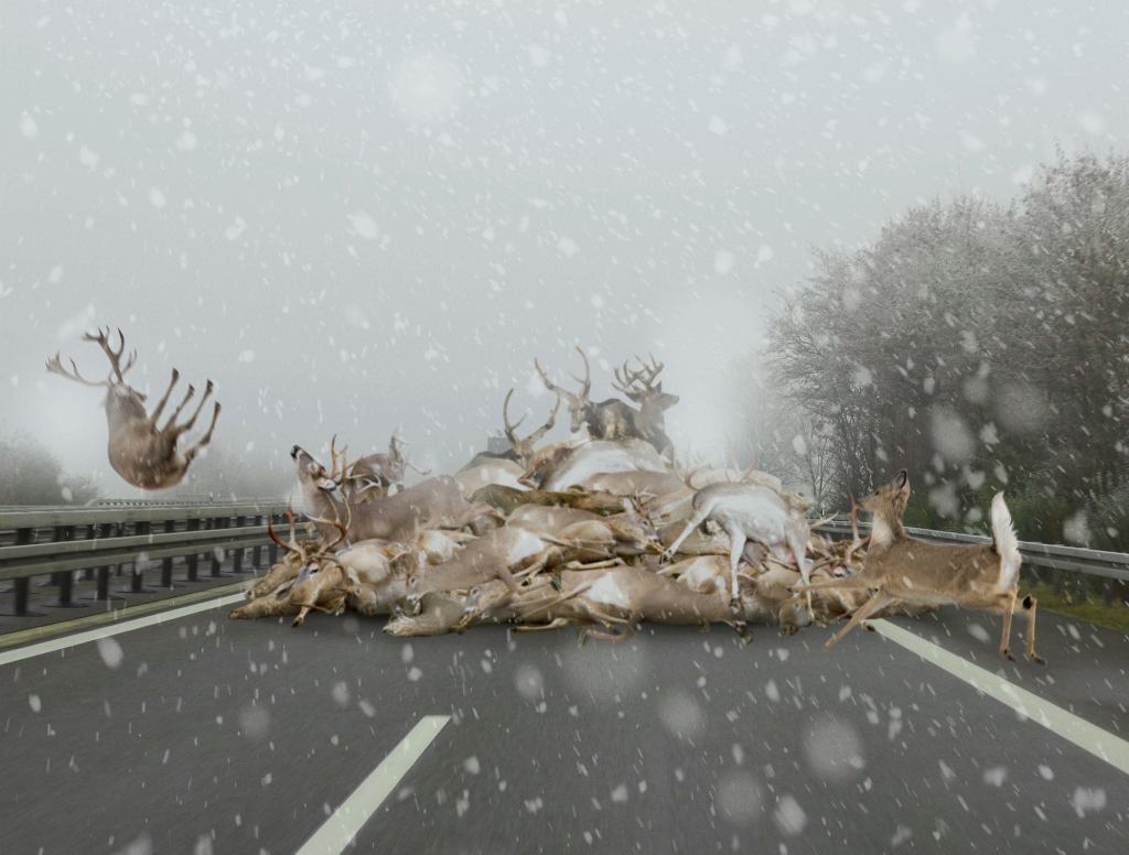 Icy Road Conditions Lead To Multi-Deer Pileup On Highway