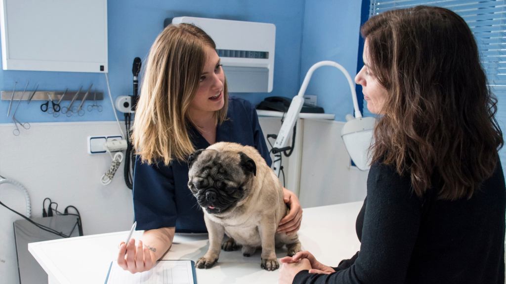 Veterinarian Wishes Owner Would Just Let Dog Answer One Goddamn Question