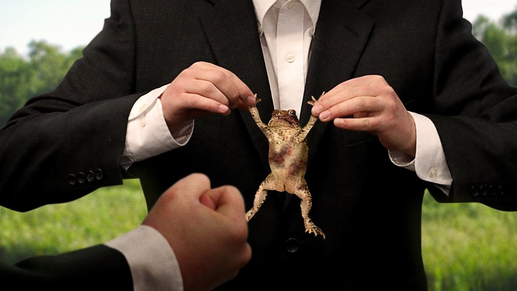 EPA Thugs Violently Beat Endangered Toad Who Hasn’t Paid Protection Money