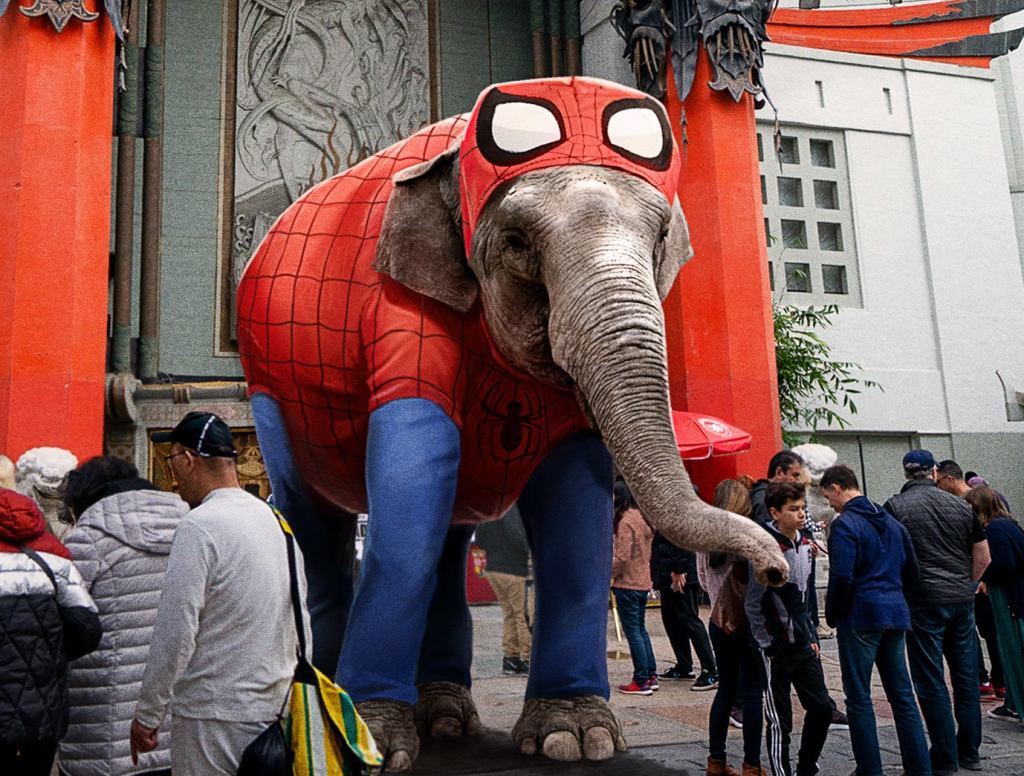 Indian Elephant Forced To Busk On Hollywood Boulevard After Los Angeles Bans Exotic Animal Performers