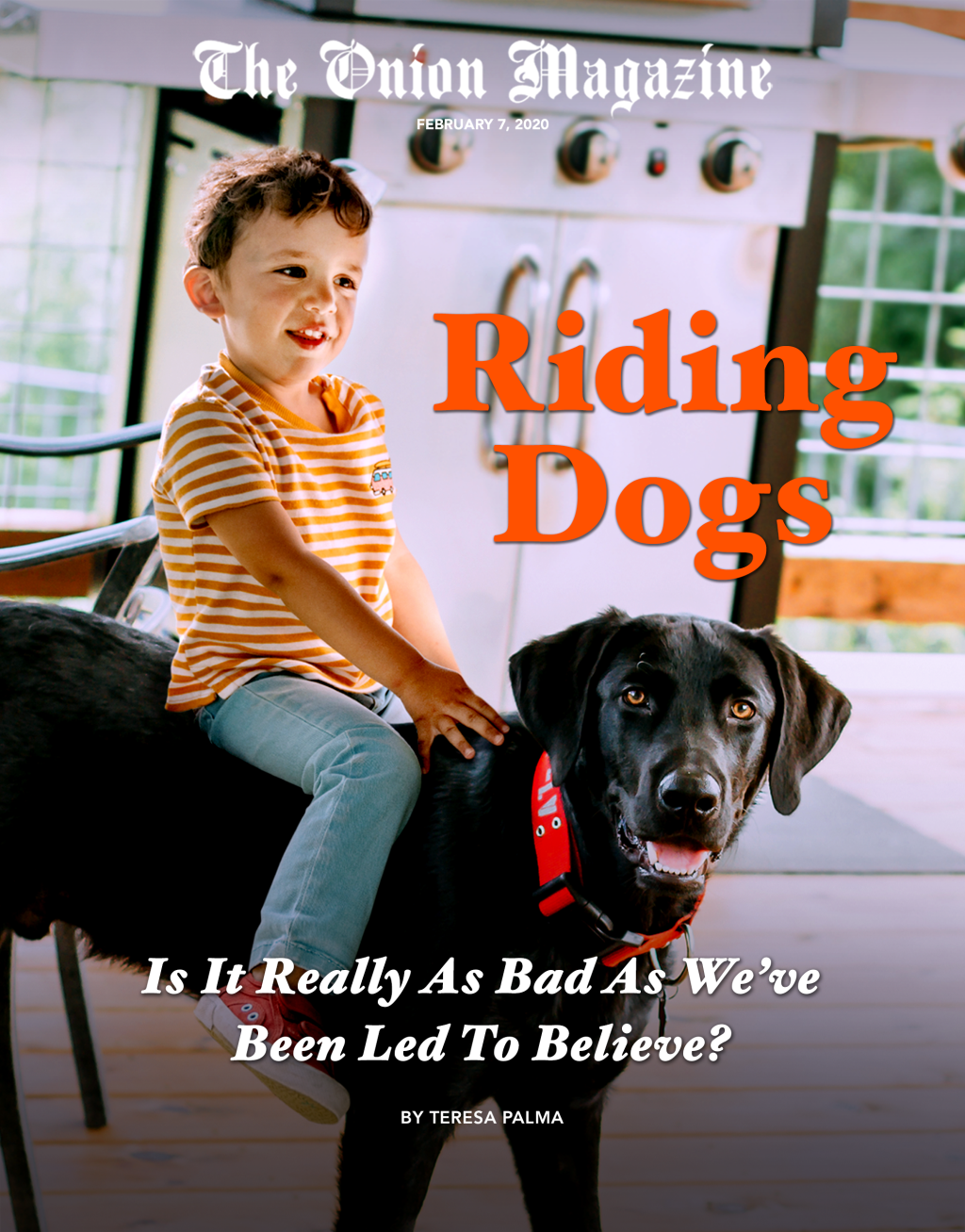 Riding Dogs: Is It Really As Bad As We’ve Been Led To Believe?