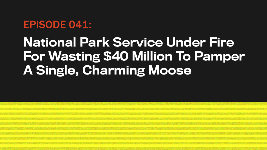 National Park Service Under Fire For Wasting $40 Million To Pamper A Single, Charming Moose