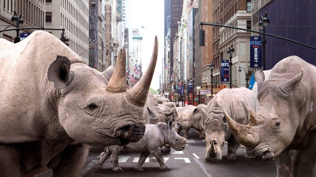 Thousands Of Formerly Endangered White Rhinos Flood City Streets Mere Days After Humans Quarantined Indoors