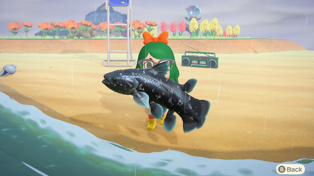 Having Trouble Finding The Coelacanth In ‘Animal Crossing’? And You Expect Us To Help You, After All You’ve Done? It Would Be Beneath Us To Even Grant You Death, You Dog