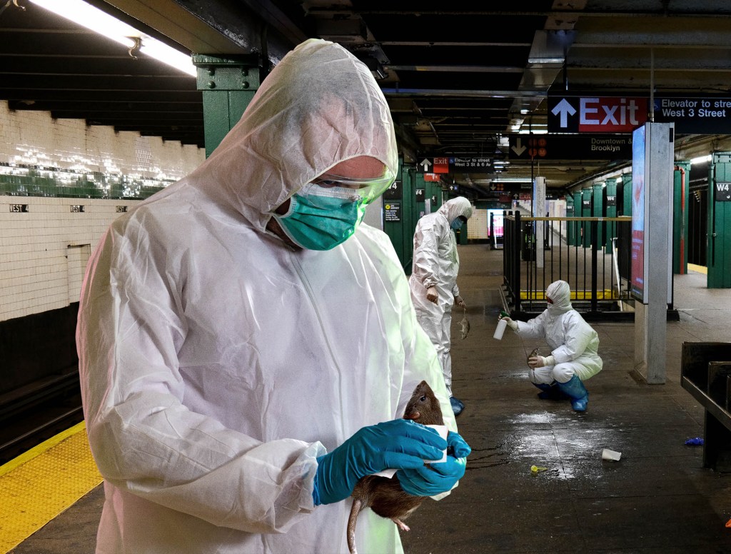 New York City Shuts Down Subway Overnight To Disinfect Rats