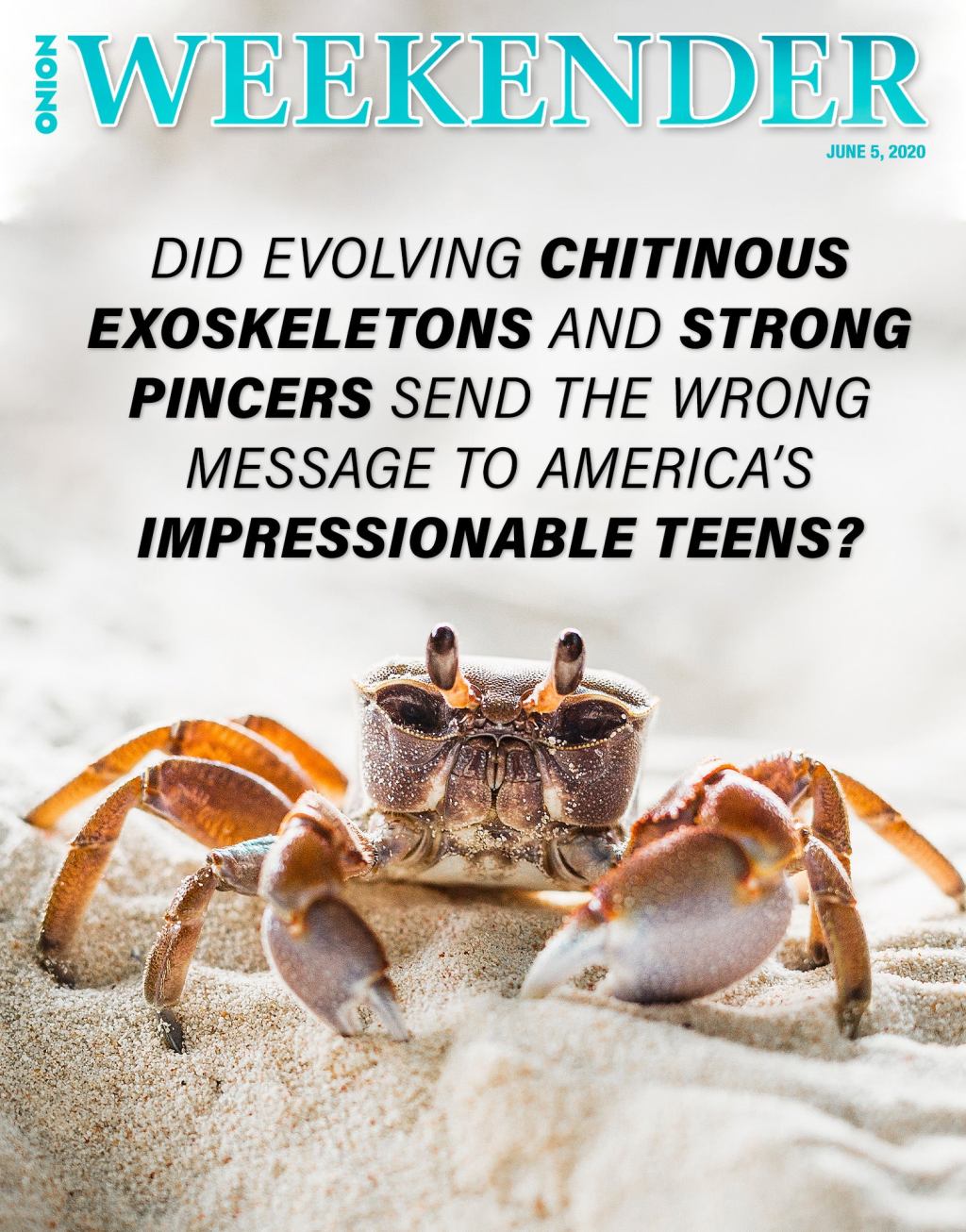 Crabs: Did Evolving Chitinous Exoskeletons And Strong Pincers Send The Wrong Message To America’s Impressionable Teens?