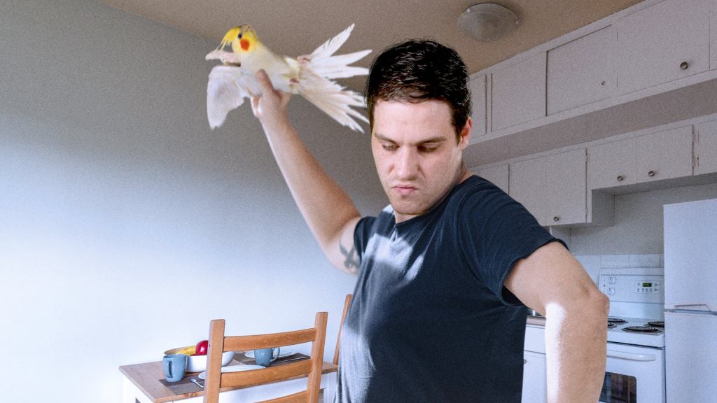 ‘Banjo-Kazooie’ Fans Will Love This: This Man Threw His Bird On The Ground