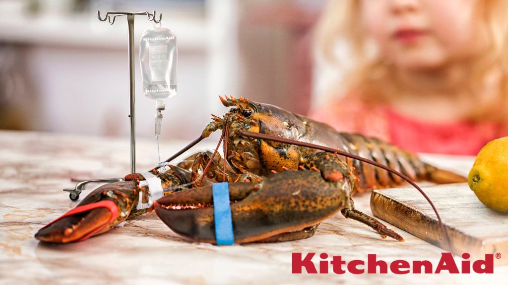 KitchenAid Unveils New Lobster Sedation Kit To Reduce Cruelty Of Boiling Them Alive