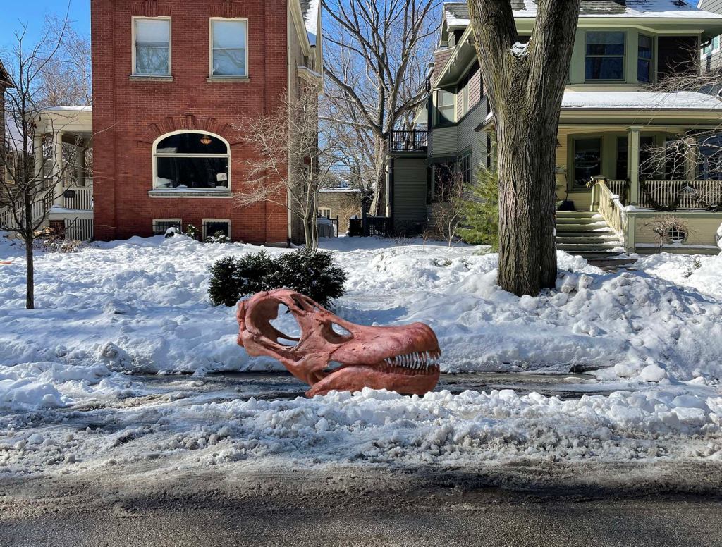 Chicago Field Museum Director Uses Titanosaur Skull To Hold Parking Space In Snow