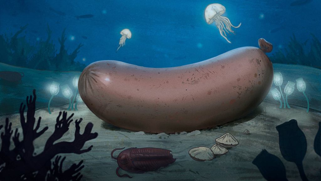 Biologists Discover Modern-Day Corn Dog Descended From Ancient Aquatic Sausage