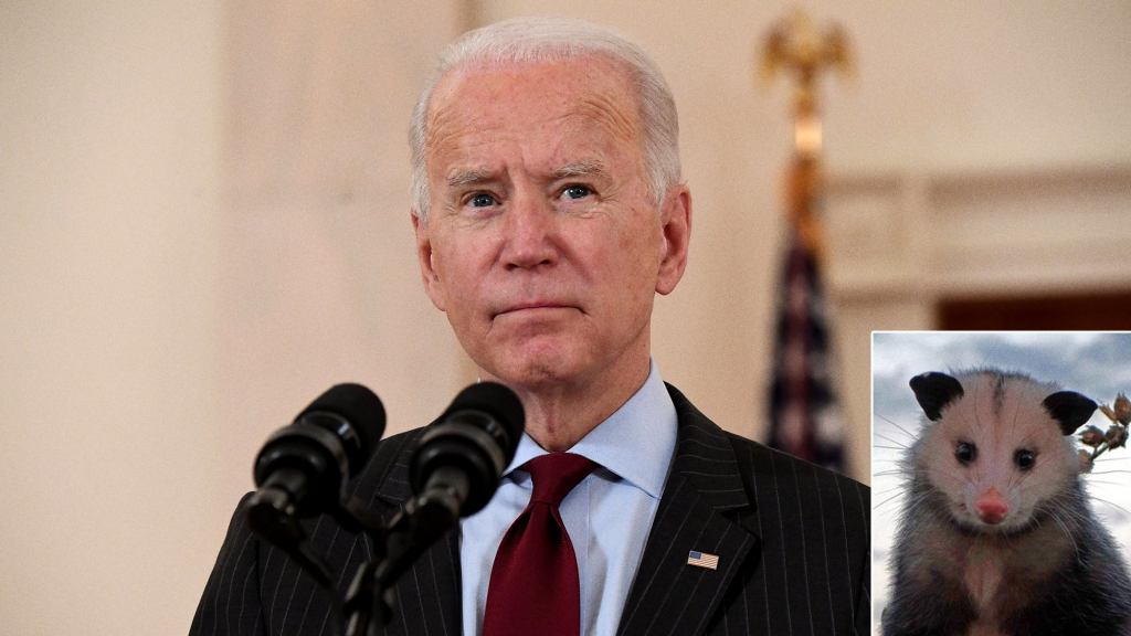 Biden Nominates Popular Twitter Account @PossumEveryHour For OMB After Discovering Bipartisan Support Of Tweets