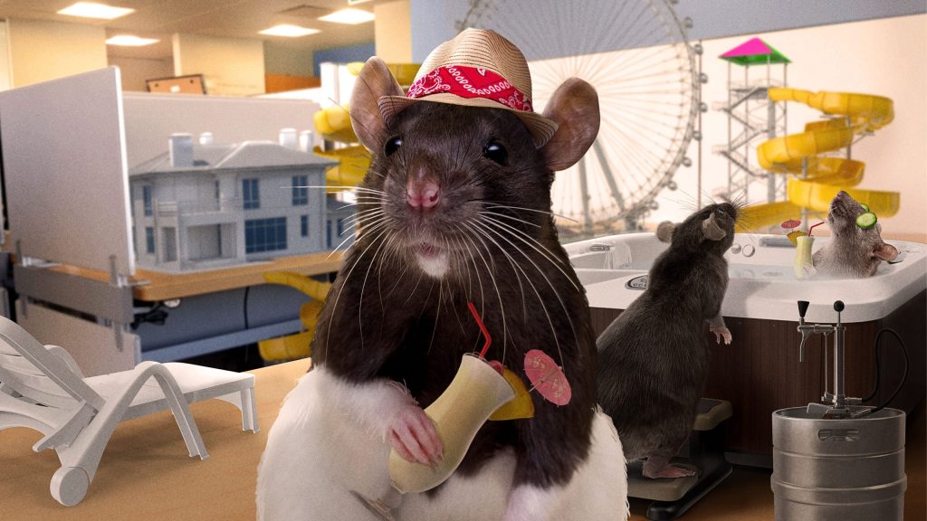 Rats Scramble To Hide Fully Functioning Amusement Park And Resort They Built As Workers Return To Office