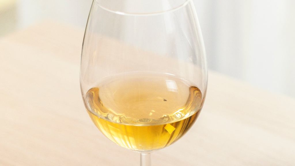 Fruit Fly Floating Lifelessly In Glass Of Wine A Somber Reminder Of The Perils Of Gluttony