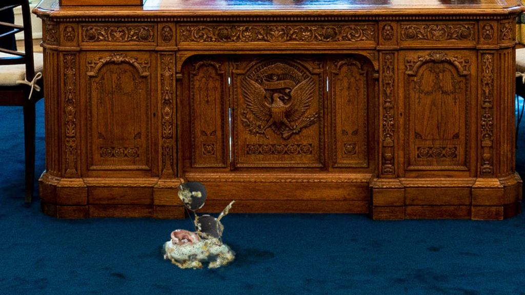 Oval Office Closed For Cleaning After Major Biden Vomits Partially Digested Secret Service Agent Onto Carpet