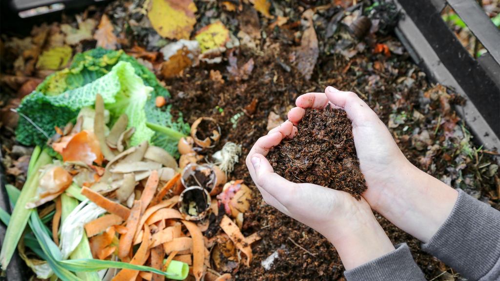 Ask ‘The Onion’: How To Go Zero Waste