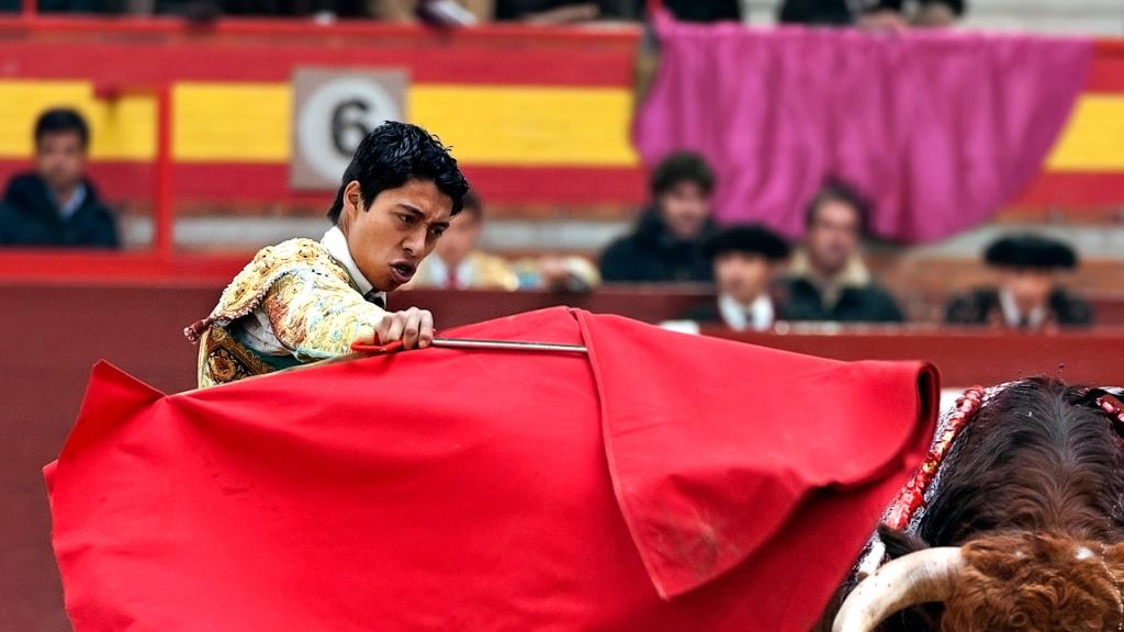 Matador Clearly Just Projecting Own Insecurities About Having Red Cloth Waved At Him