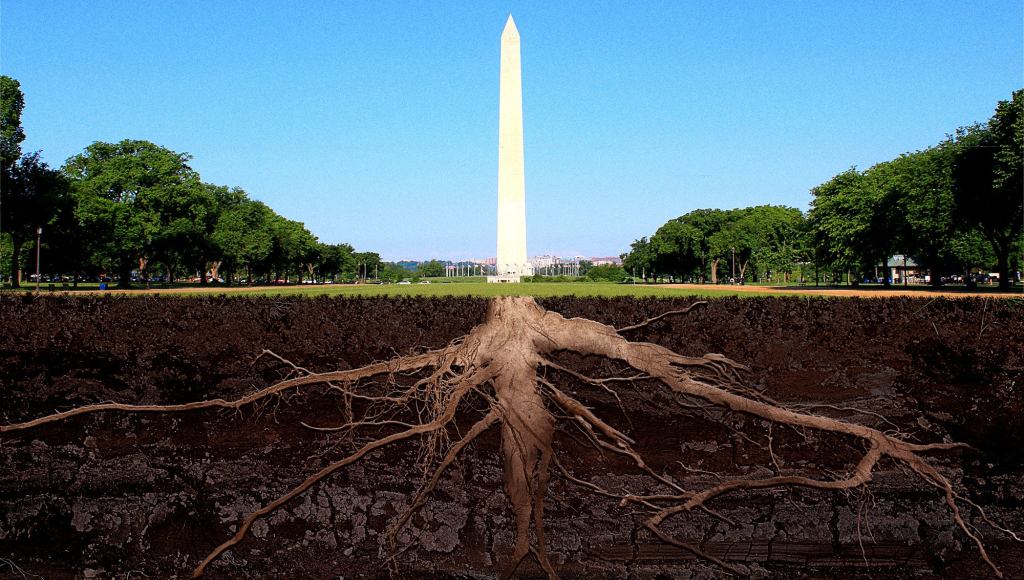 Biologists Discover Roots Of Washington Monument Have Spread Over 400 Feet Underground