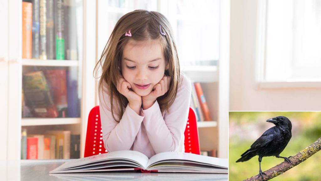 Study: Average U.S. Third-Grader Reading At Level Of Crow