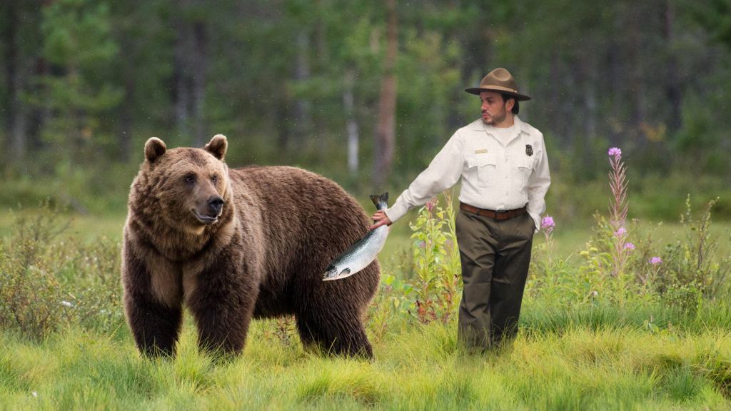 Park Ranger Slips Fat Fish To Bear Before Gesturing Towards Littering Family He Wants Mauled