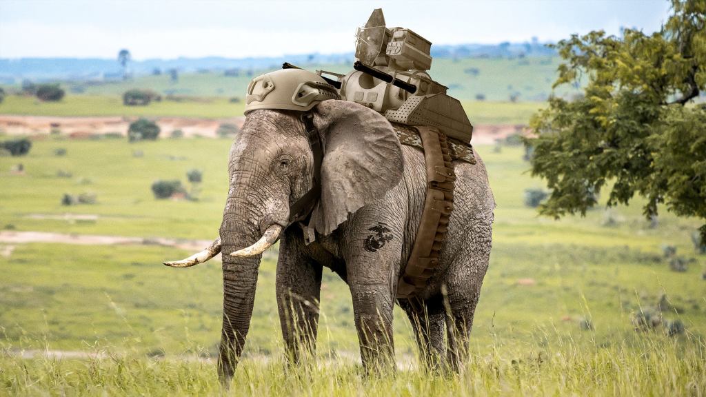 Report: Majority Of Americans Would Support A New War If There Were Elephants Involved