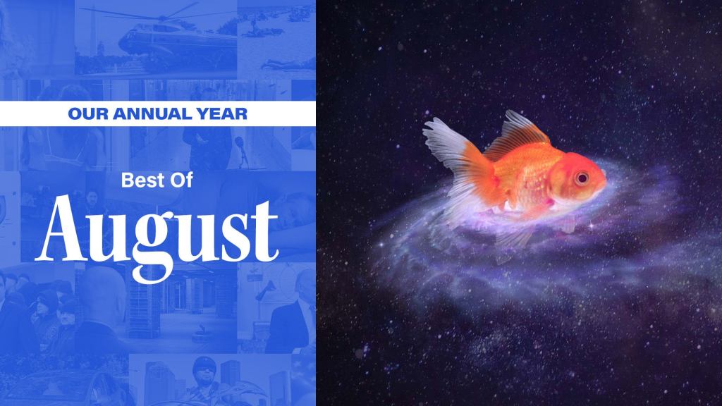 Our Annual Year: Best Of August