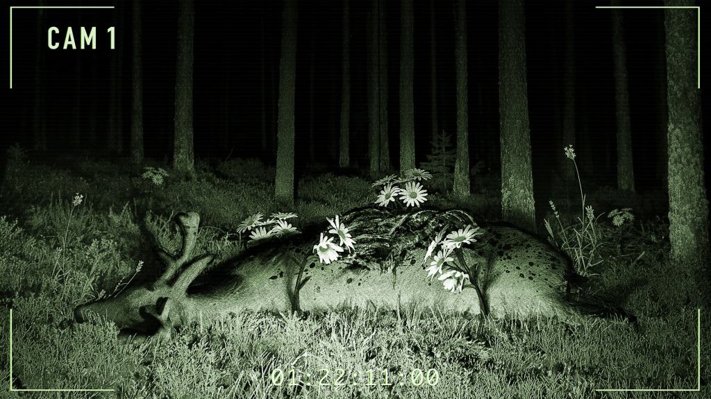 New Documentary Footage Confirms Long-Held Theory That Flowers Hunt At Night