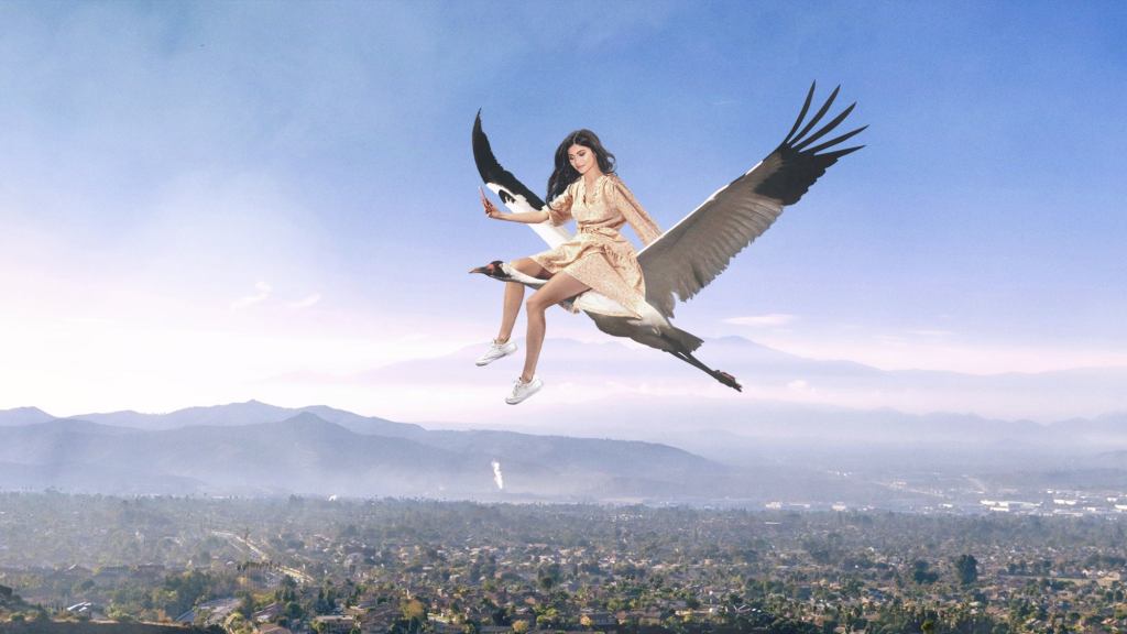 Kylie Jenner Criticized For Taking 12-Minute Flight On Private Endangered Whooping Crane