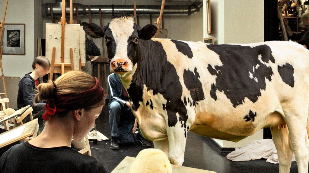 Iowa Art Students Spend Class Sculpting Butter With Live Cow Model