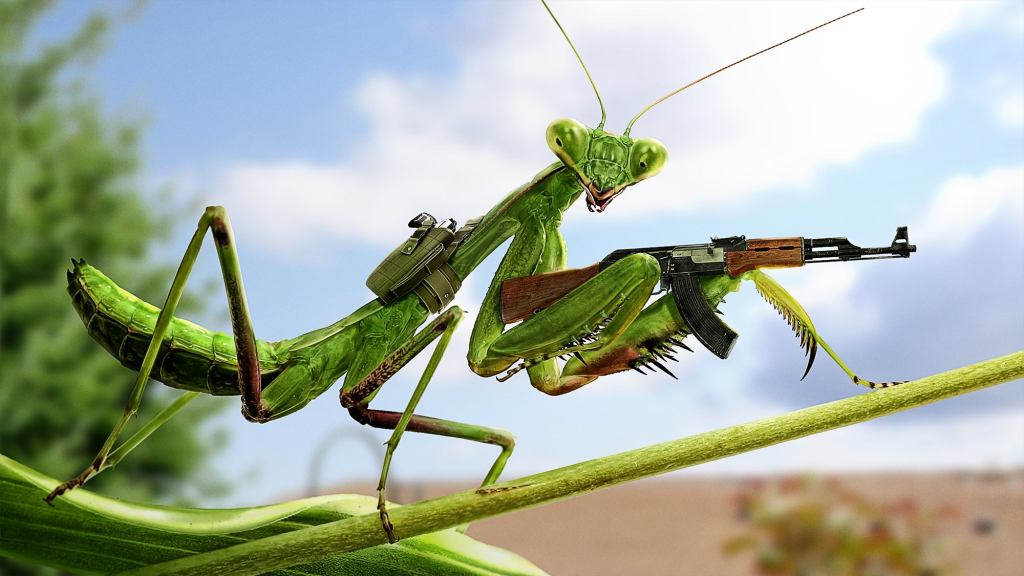 U.S. Escalates Campaign Against Spotted Lanternflies By Arming Praying Mantises