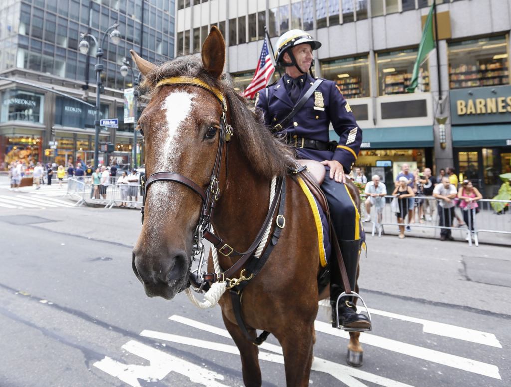 Police Horse Unaware That What He Is