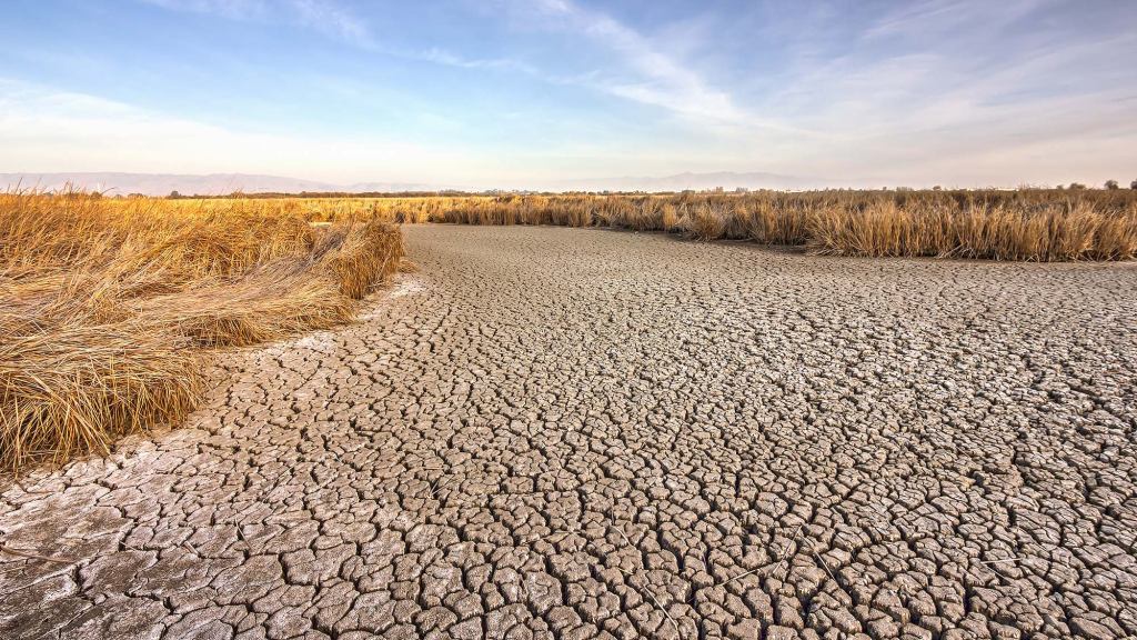 Californians Explain Why They Oppose Drought Restrictions