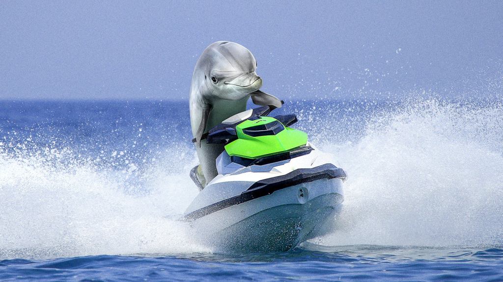 Scientists Find Dolphins Only Other Mammals That Jet-Ski For Pleasure