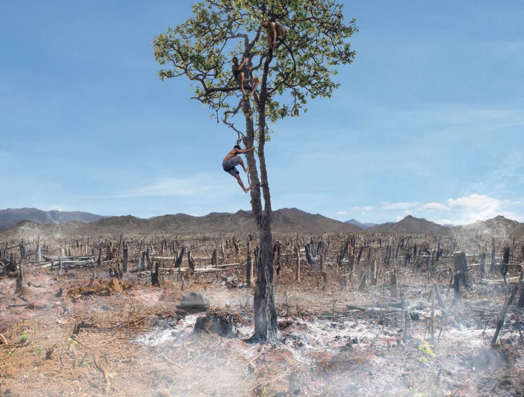 Fugitive Bolsonaro Coup Supporters Hide Deep In Amazon Rainforest’s Last Remaining Tree