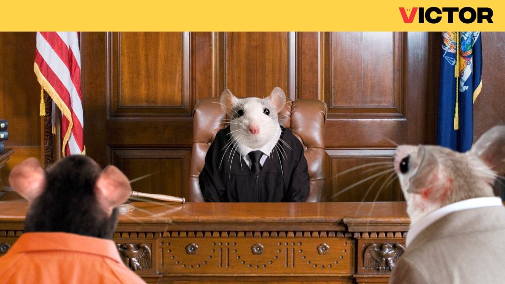 More Ethical Mouse Trap Convicts Rodents Of Capital Offense Before Sending Them To Electric Chair