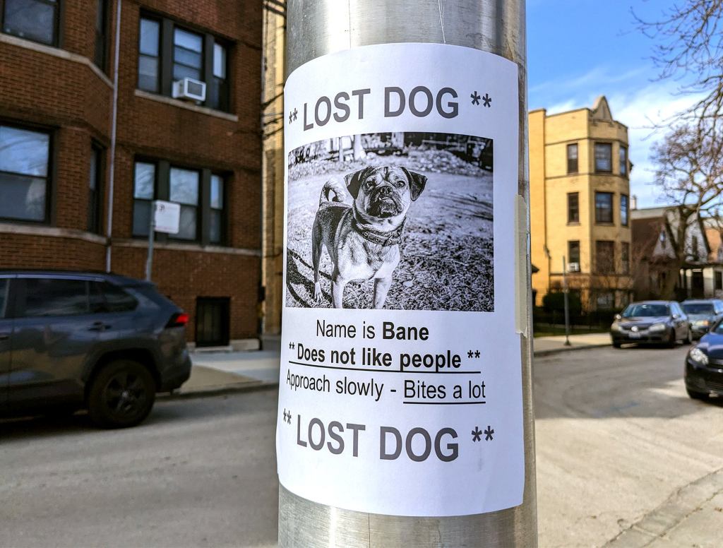 Lost Dog Poster More Of A Warning To Avoid Dog