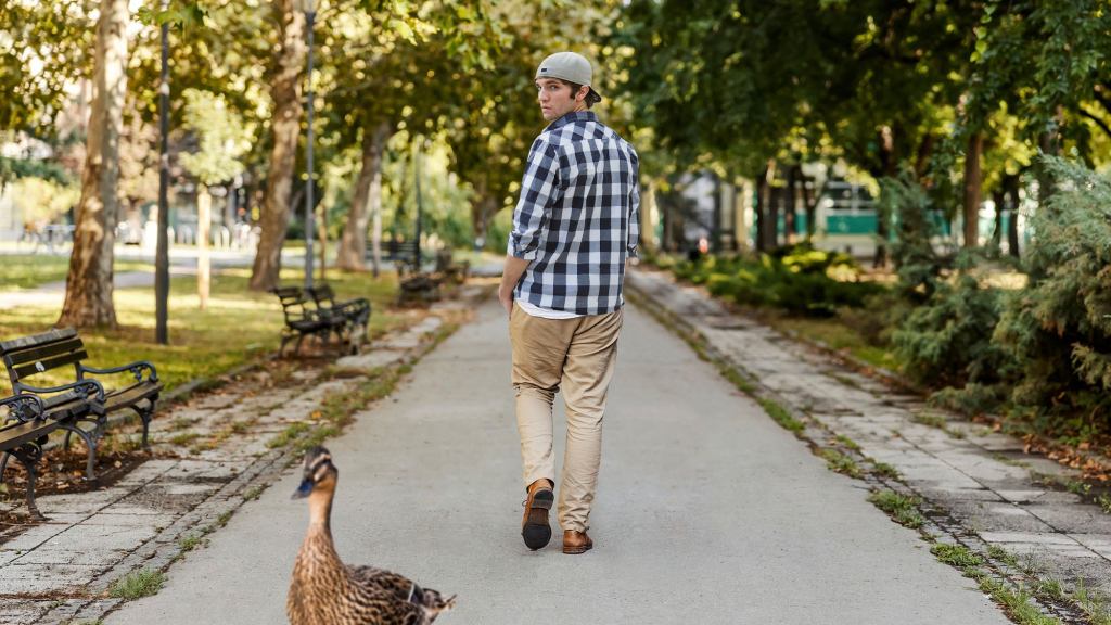 Man Turns Head To Catch Glimpse Of Backside Of Duck Waddling Down Street Past Him