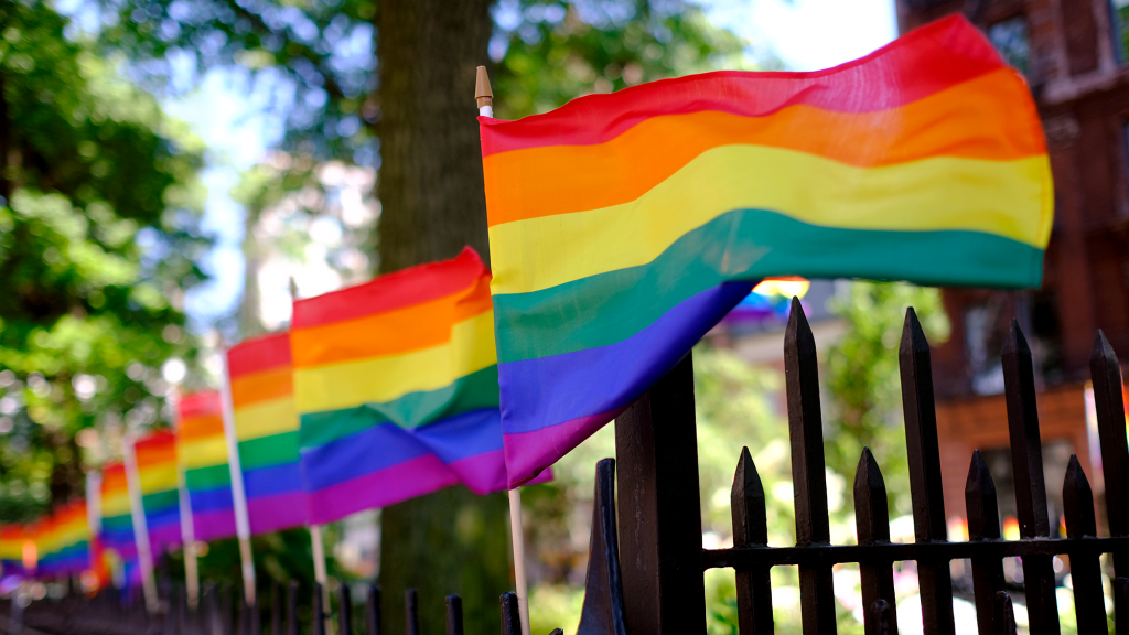 Conservatives Explain How Pride Has Gone Too Far