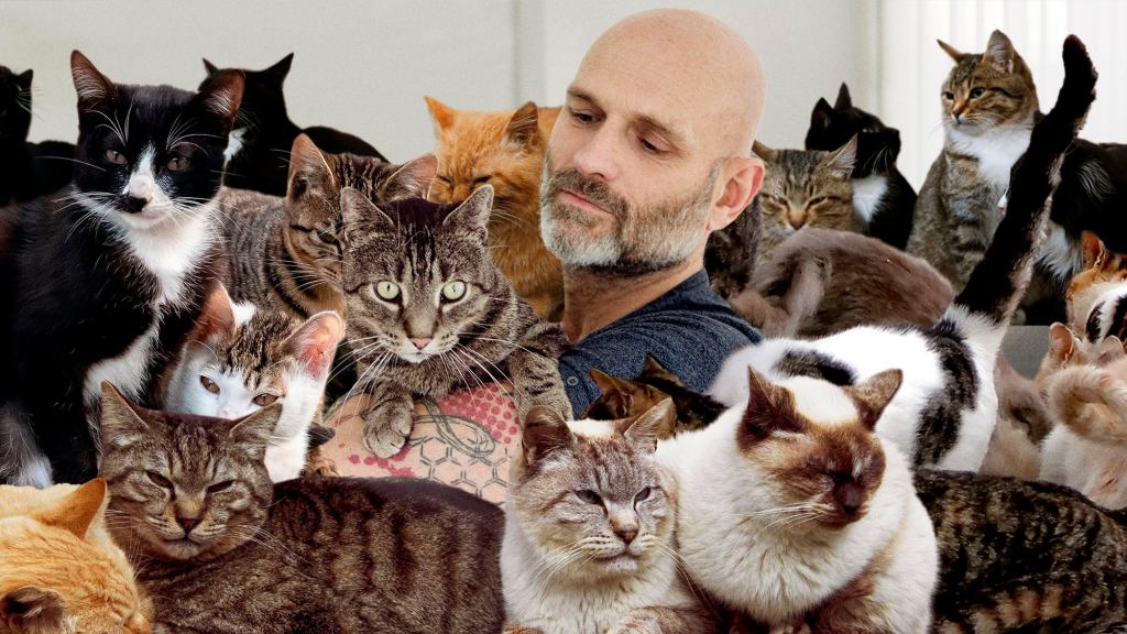 NYC Officials Announce Single Very Sad Man Has Adopted All 500,000 Feral Cats