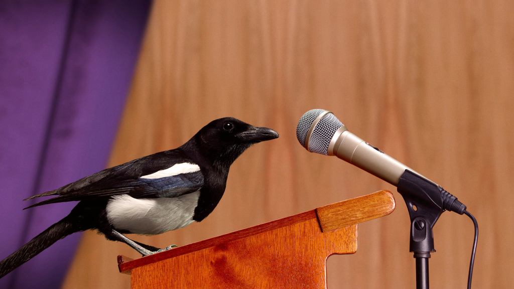 Bird That Can Read Everyone’s Thoughts Welcomed As Keynote Speaker Of Psychedelics Conference