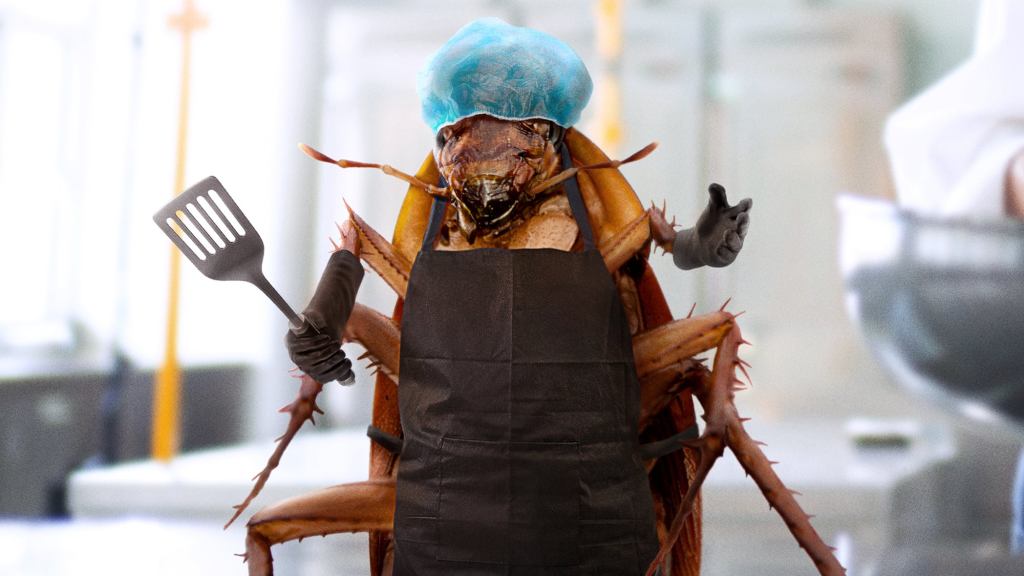 Health Inspector Conflicted After Seeing Cockroach In Restaurant Kitchen Wearing Gloves